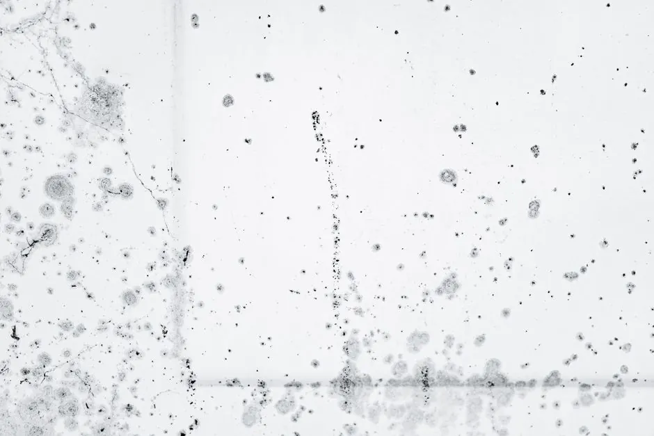 Intricate pattern of black mold spores on a white background, showcasing decay and organic growth.